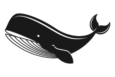 Cartoon whale png sticker, sea