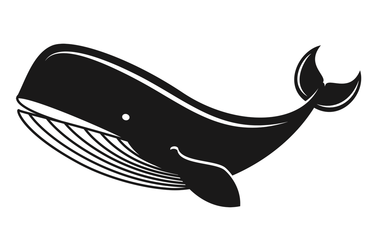 The Whale watcher: - Cartoon whale png sticker, sea
